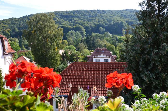 Villa Sonnenseite Jonsdorf Bagian luar foto